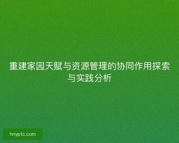 重建家园天赋与资源管理的协同作用探索与实践分析