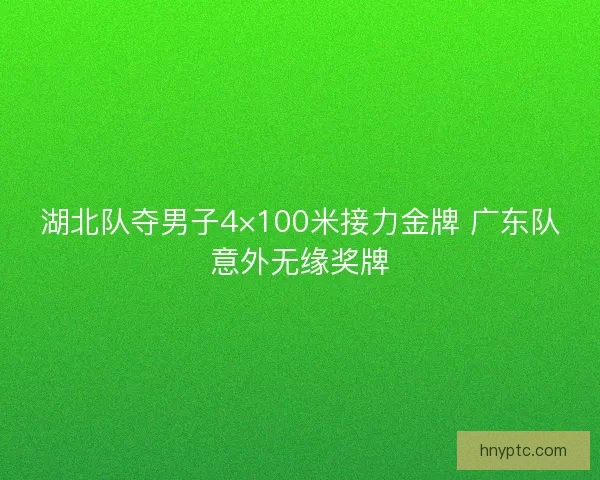 湖北队夺男子4×100米接力金牌 广东队意外无缘奖牌